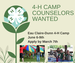 4-H Camp Counselors Wanted Ad