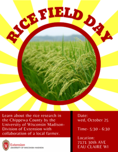 Rice Field Day