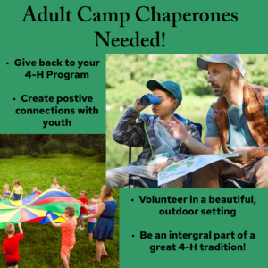 Area 4-H Camp Looking for Help from Adult 4-H Volunteers