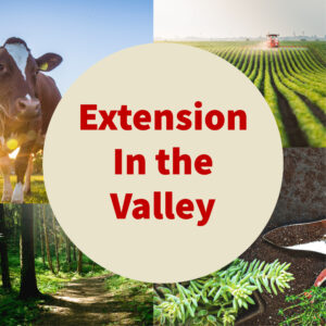 Extension in the Valley
