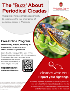 The “Buzz” About Periodical Cicadas