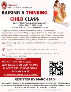 Raising a Thinking Child Class