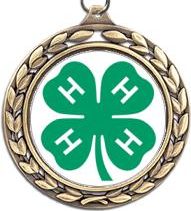 County Projects Medal