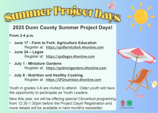 Summer project days schedule