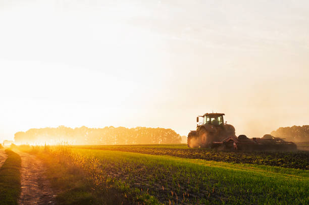tractor discing in a field with a sunset in the background
